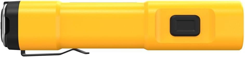 Durable LED Jobsite Light