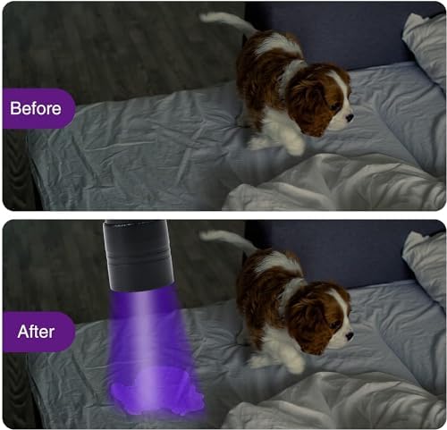 4Pack UV Flashlight for Pets Travelers Compact Waterproof