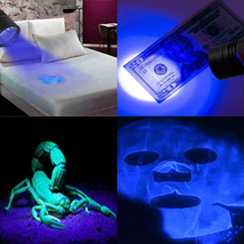 AdamStar Blacklight 3-in-1 Rechargeable Flashlight