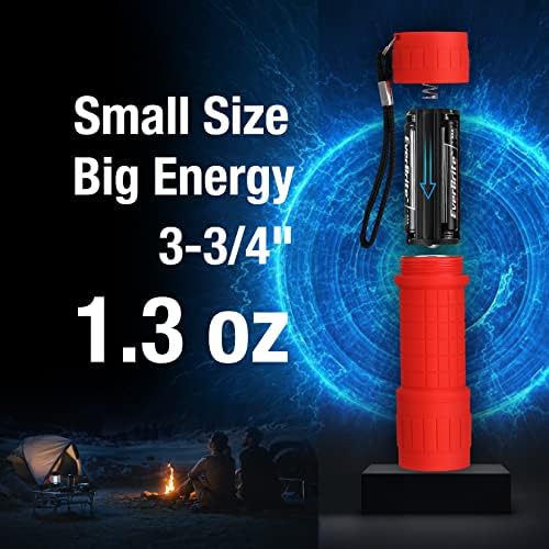 EverBrite UV Flashlight Blacklight Detector