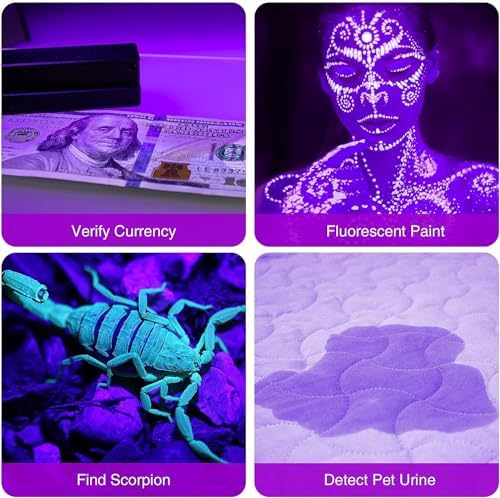 4Pack UV Flashlight for Pets Travelers Compact Waterproof