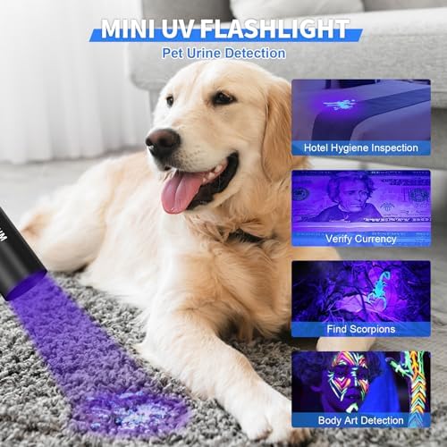 Goreit Adjustable 990000 Lumens Handheld Flashlight Waterproof Rechargeable for Emergency Use