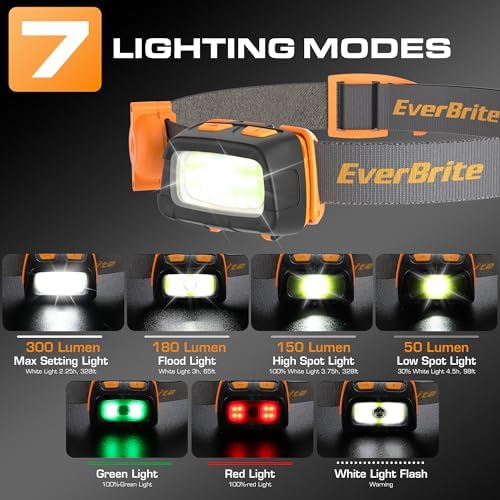 EverBrite 300-Lumen Headlamp with Dual Switch Lights