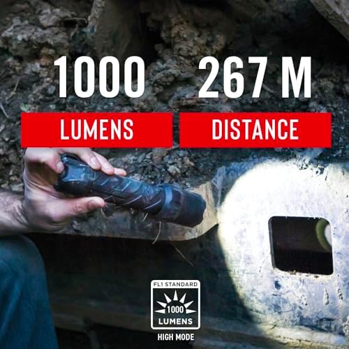 Coast LED Flashlight withPure Beam