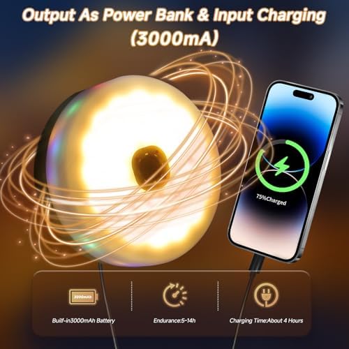 PORTABLE OUTDOUR CAMPING LIGHTS