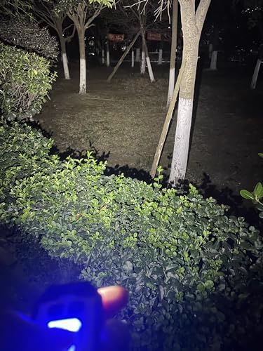 Compact Rechargeable IP65 Handheld Flashlight with 8 Modes