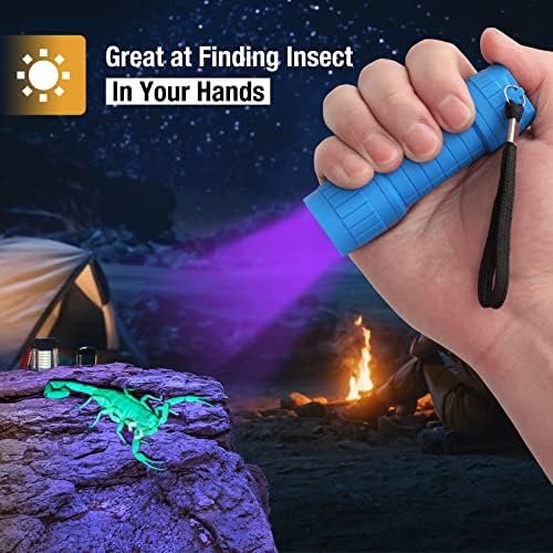 EverBrite UV Flashlight Blacklight Detector