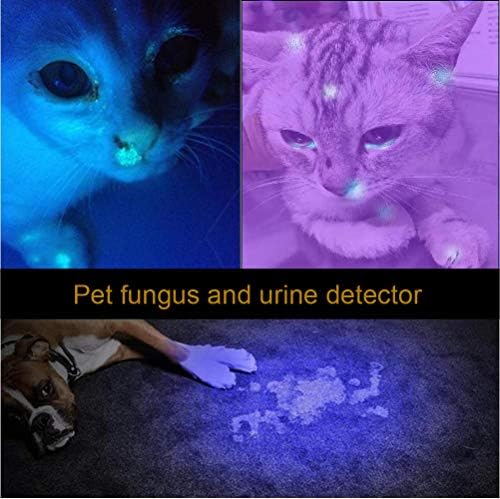 Professional 365nm UV Flashlight
