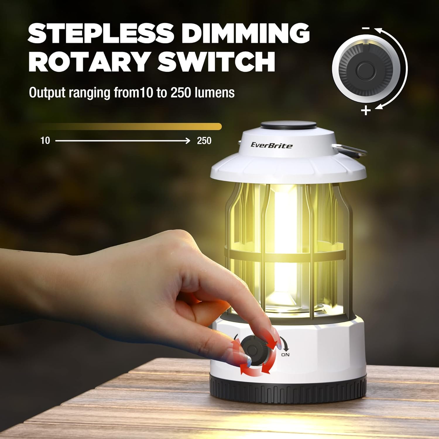 EverBrite LED Camping Lantern 250 Lumens Stepless Dimming
