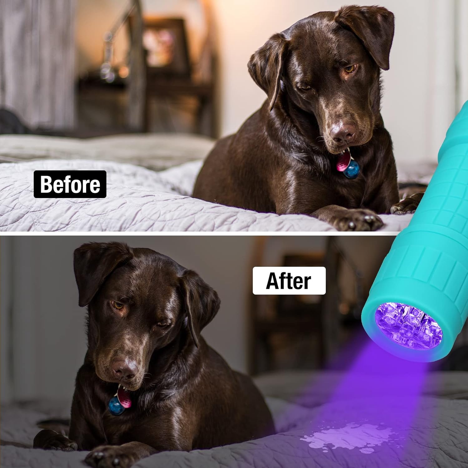 EverBrite UV Flashlight Blacklight Detector