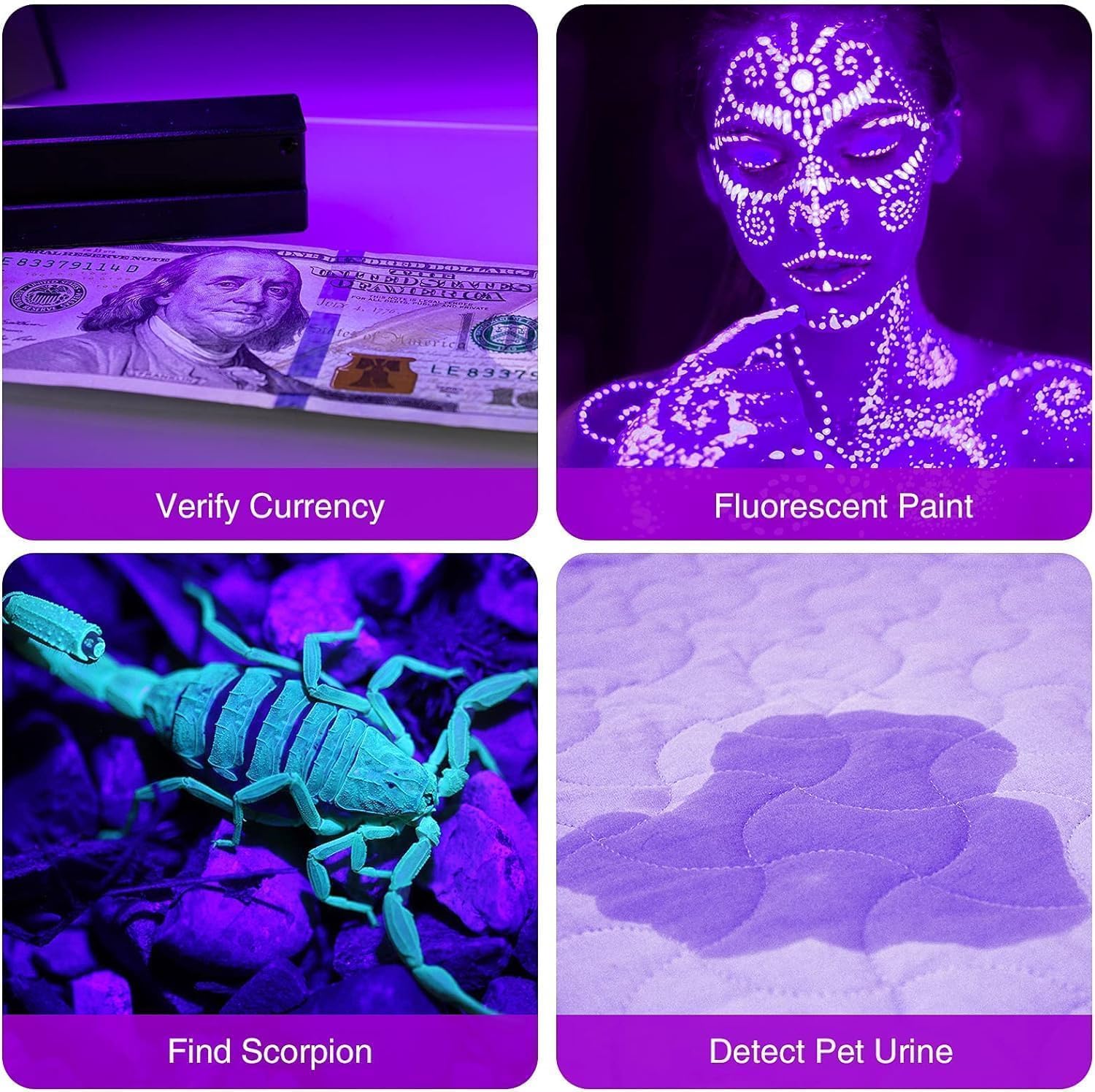 4Pack UV Flashlight for Pets Travelers Compact Waterproof