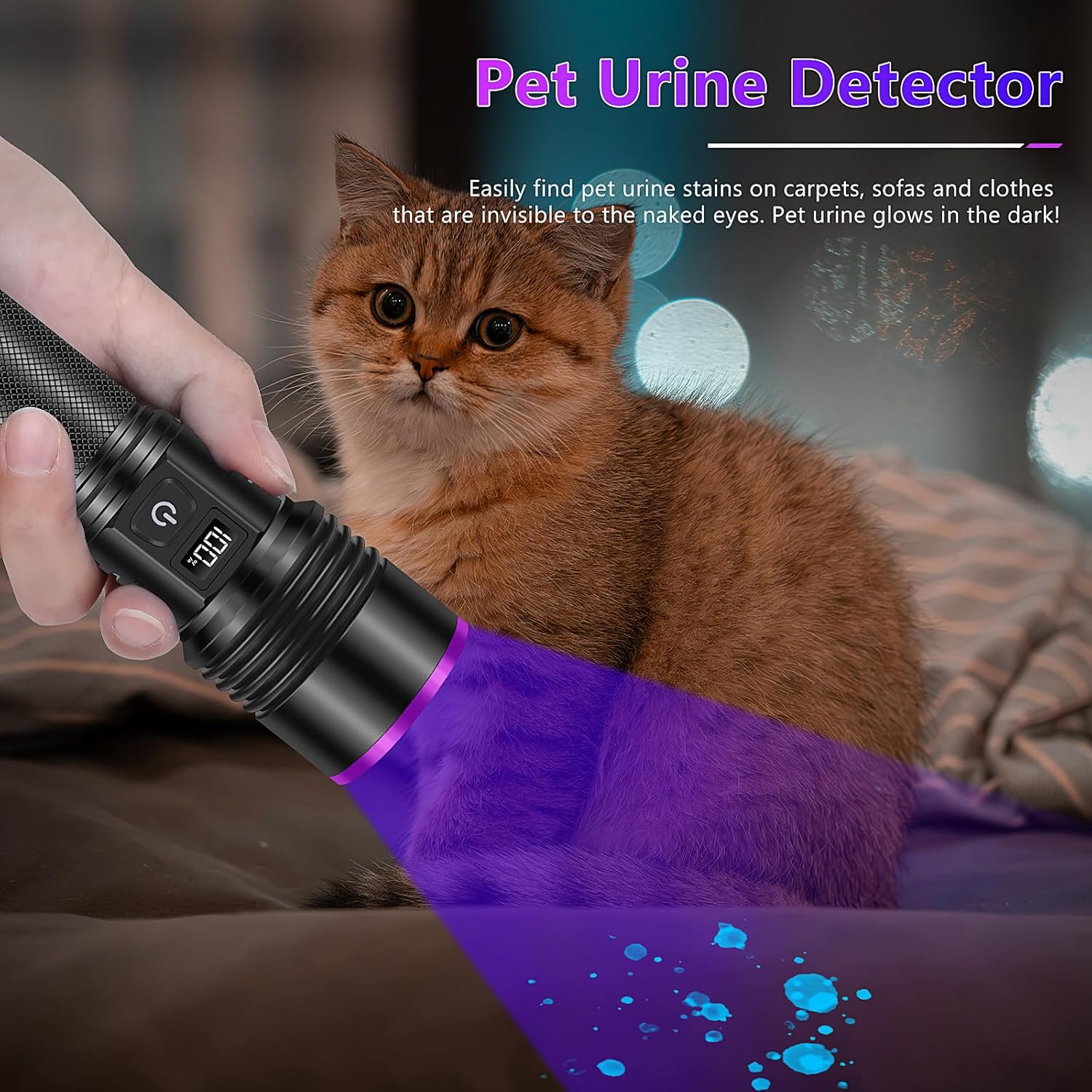Powerful 365NM UV Flashlight for Pet Urine Scorpion Detection